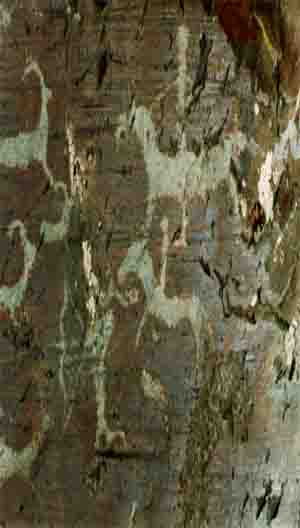 Древние наскальные изображения 