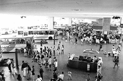 Реферат: Перенос столицы в Бразилии 1960