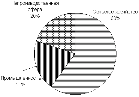 Рис. 3. Структура ВВП Афганистана и Катара, 2002 г.