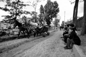 Гужевая повозка на одной из улиц Бешалмы