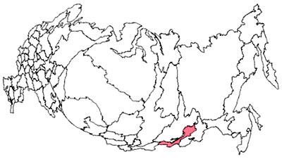 Картосхема-анаморфоза. Регионы России по ВРП на душу населения с учетом паритета покупательной способности (долл.) Выполнена П.Чистяковым