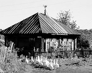 Сельский дом на таежном востоке Алтайского края. Фото Геннадия Александрова