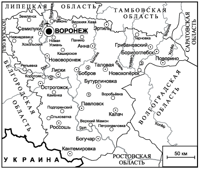 Погода в поворино карта