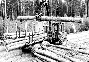 Поскольку на значительной территории Китая введен мораторий на вырубку леса, вывоз кругляка из региона — одна из золотых жил для местного бизнеса. Однако большой проблемой остается «черный» экспорт, когда недобросовестные китайские фирмы закупают кругляк у недобросовестных российских хозяйств за бесценок по наличному расчету и вывозят в обход таможни. С 2009 г. на территории РФ вводятся заградительные пошлины на вывоз круглого леса. Разрабатывается целевая программа по развитию мощностей по глубокой переработке древесины. Планируется строительство заводов в Дальнереченске и Находке, фабрики в поселке Чугуевка, а также фанерного завода в поселке Пластун