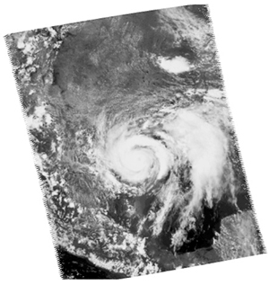 Рис. 3. Тропический ураган «Долли» над Техасом. Космический снимок НАСА с сайта www.nasa.gov