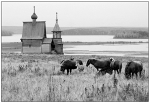 В Кенозерском национальном парке. Вершинино. Фото Евгения Засухина. photoline.ru