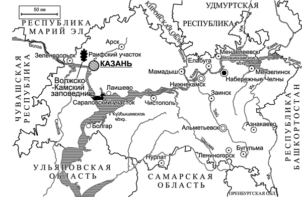 Карта где находится волжский