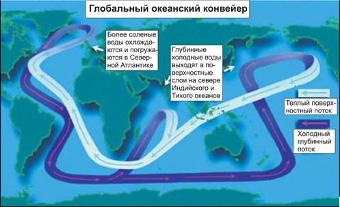 Воспользуйтесь текстом два гольфстрима последний абзац